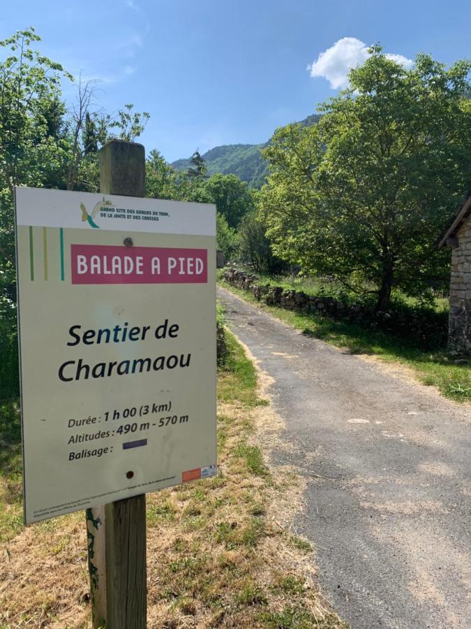 مبيت وإفطار Quezac  La Voutee 5 Epis Avec Bain Finlandais Prive Au Manoir Du Charme Gorges Du Tarn المظهر الخارجي الصورة