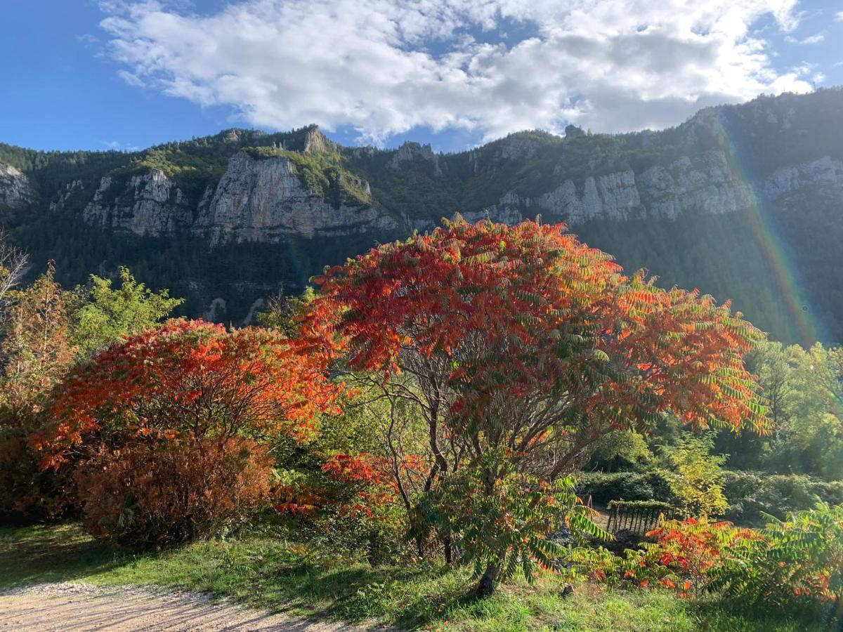 مبيت وإفطار Quezac  La Voutee 5 Epis Avec Bain Finlandais Prive Au Manoir Du Charme Gorges Du Tarn المظهر الخارجي الصورة