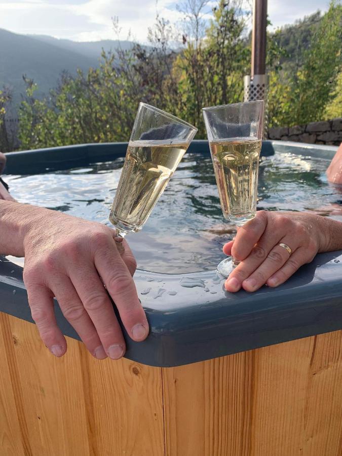 مبيت وإفطار Quezac  La Voutee 5 Epis Avec Bain Finlandais Prive Au Manoir Du Charme Gorges Du Tarn المظهر الخارجي الصورة